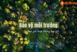 Môi trường đang chết dần chết mòn, bạn đã làm gì để bảo vệ!